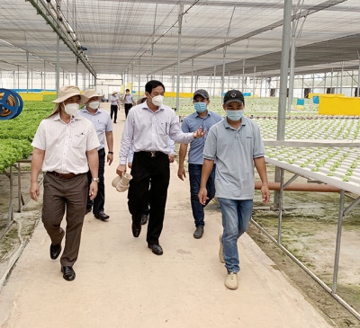 Làm nông nghiệp ở 'thành phố sân bay'