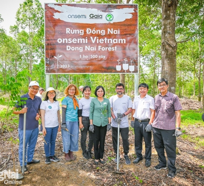 Bảo vệ 'cỗ máy điều hòa' tự nhiên của vùng Đông Nam bộ