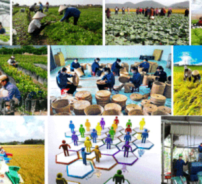 Thành lập mới 10.000 tổ chức kinh tế tập thể giai đoạn 2021-2025