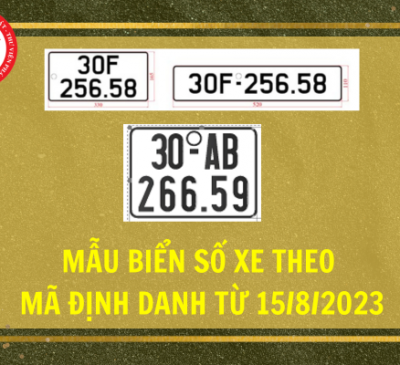Từ ngày 15-8, thực hiện cấp biển số theo mã định danh