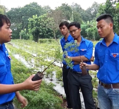 Khởi nghiệp thành công bằng kinh tế tập thể