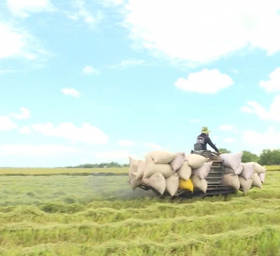 GẠO VIỆT NAM ĐÃ CÓ MẶT TẠI PHÁP