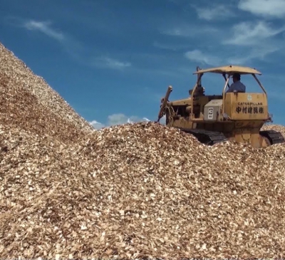 Kim ngạch xuất khẩu nông, lâm, thuỷ sản tháng 11/2020 đạt 3,72 tỷ USD