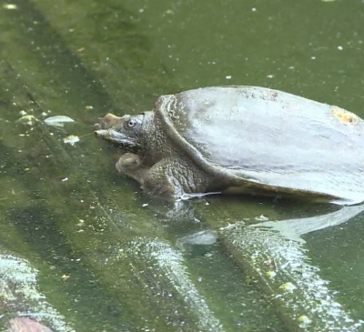 Quỹ hỗ trợ nông dân- điểm tựa vững chắc của nhà nông