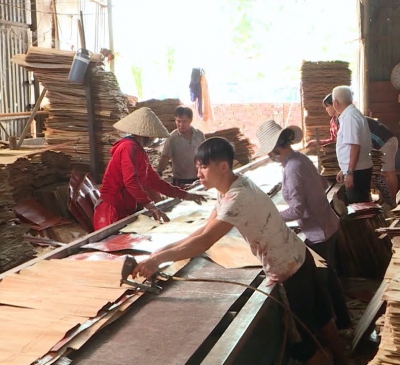 Thu nhập tiền tỷ từ nghề sản xuất ván ép