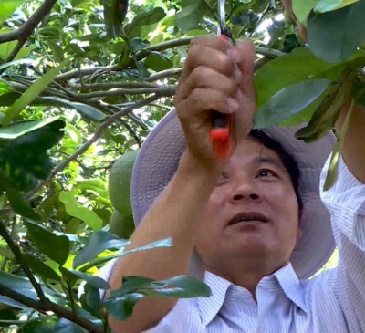 Gương nông dân vượt nghèo thu nhập tiền tỷ