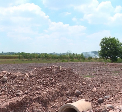 Bí thư Huyện ủy Long Thành chỉ đạo xử lý nghiêm vụ san lấp đất lúa tại xã Bình An