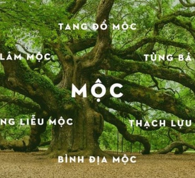 Dự đoán nghề nghiệp tương lai 