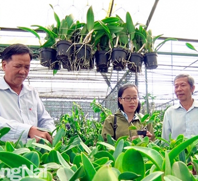 Huyện Cẩm Mỹ có thêm 2 xã nông thôn mới kiểu mẫu, 1 xã nông thôn mới nâng cao