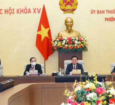 Ủy ban thường vụ Quốc hội cho ý kiến về dự án luật sửa đổi, bổ sung một số điều của 08 Luật