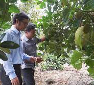 Nông dân cần tiếp sức bằng vốn rẻ