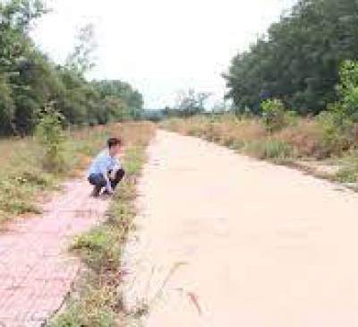 Ứng dụng DNAI.LIS khi nào mới chính thức tái khởi động lại?