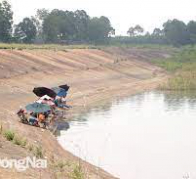 Cần dẹp bỏ hoặc có cơ chế quản lý đối với các điểm du lịch tự phát tại hồ Trị An