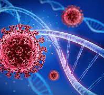 Phát hiện thêm biến thể phụ BA.2.12.1