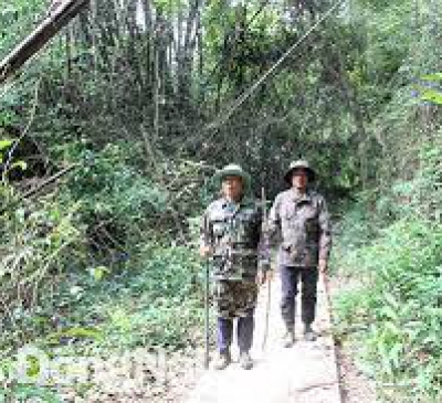 Đồng Nai có 81 đơn vị sử dụng dịch vụ môi trường rừng