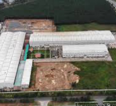 Các khu công nghiệp thu hút gần 600 dự án FDI mới