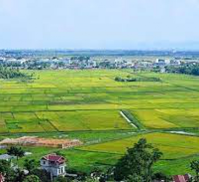 Các trường hợp chuyển mục đích sử dụng đất trồng lúa, đất rừng đặc dụng năm 2023 tỉnh Đồng Nai.