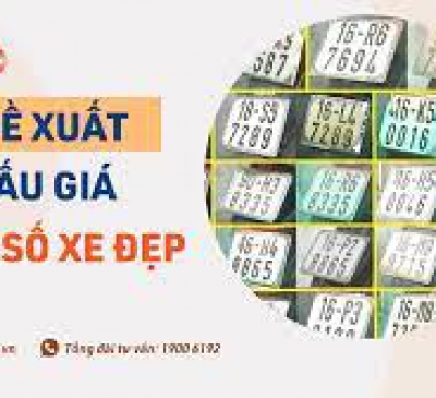 Xây dựng Nghị quyết cho đấu giá biển số xe đẹp