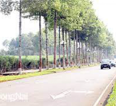 Đấu giá 11 khu đất để tạo vốn phát triển hạ tầng