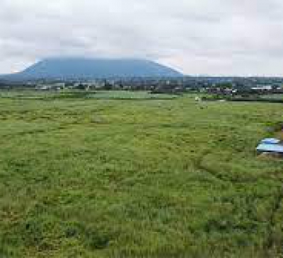 Vướng dự án, đất 