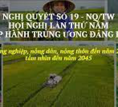 Nghị quyết 19 của Chính phủ thực hiện 