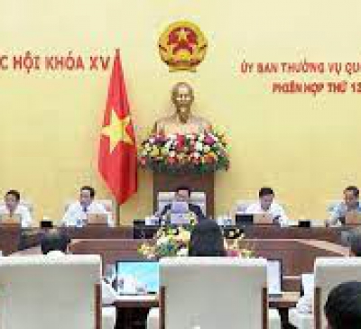 Cần tiếp tục rà soát chặt chẽ diện tích đất rừng và diện tích đất trồng lúa hai vụ cần chuyển đổi