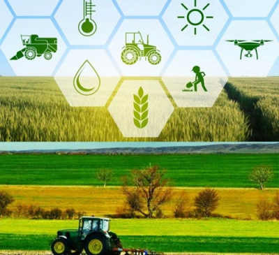 Sản xuất nông nghiệp- Cần có hướng đi bền vững