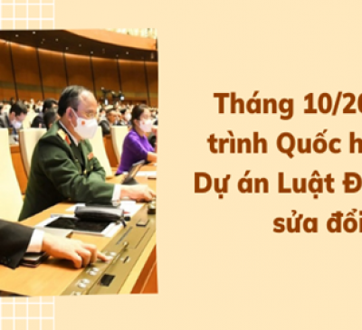 Hoàn thiện dự thảo Luật Đất đai sửa đổi để trình Quốc hội vào tháng 10-2022