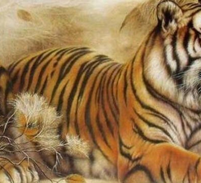 Xem hướng xây nhà hợp với gia chủ tuổi Dần