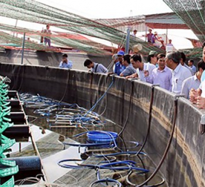 Huyện Long Thành có hơn 600ha diện tích nuôi thủy sản