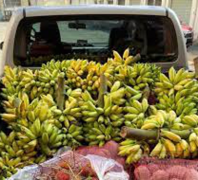 Doanh nghiệp kêu cứu vì khó khăn trong lưu thông hàng hóa