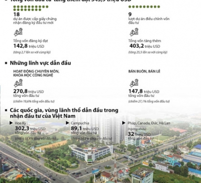 Tổng vốn đầu tư ra nước ngoài tăng gần 8 lần