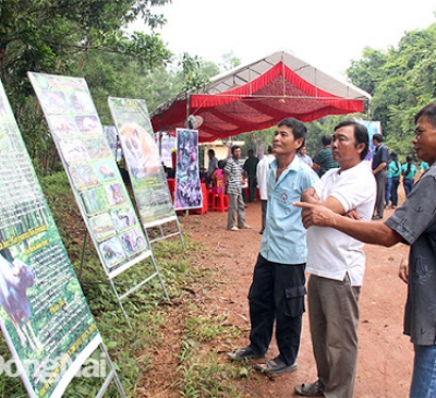 Thông qua phương án quản lý rừng bền vững ở Khu Bảo tồn Thiên nhiên - Văn Hóa giai đoạn 2021- 2030
