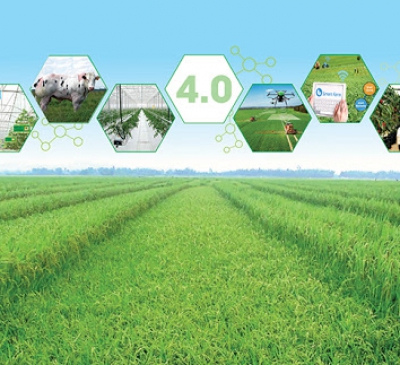 Nông nghiệp phân hữu cơ công nghệ cao: xây dựng thương hiệu cho nông sản địa phương