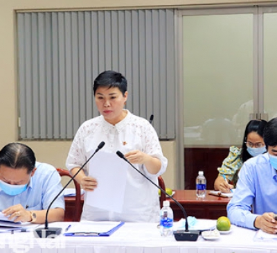 Tháo gỡ những khó khăn vướng mắc của Tổng Công ty Sonadezi