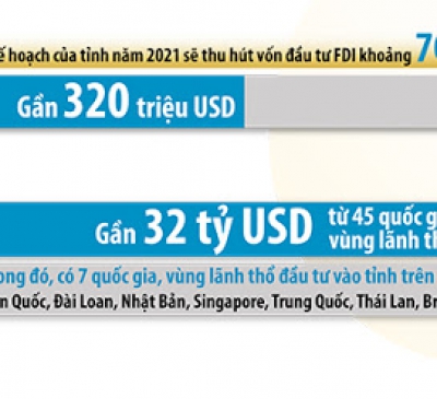 Thu hút đầu tư 6 tháng tại các KCN tỉnh Đồng Nai tiếp tục khả quan