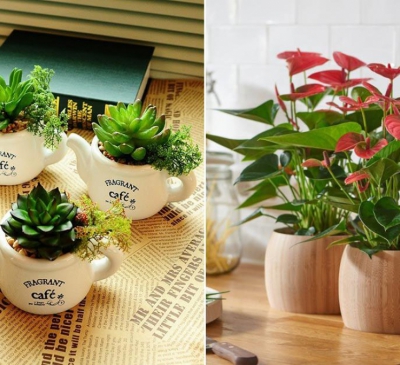14 ý tưởng dễ làm giúp bạn trang trí chậu cảnh