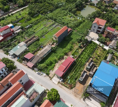 Gần 1.000 dự án có thu hồi đất bị hủy bỏ