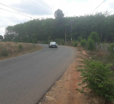 Triển khai thực hiện xây dựng đường Phước Bình- Bàu Cạn- Cẩm Đường