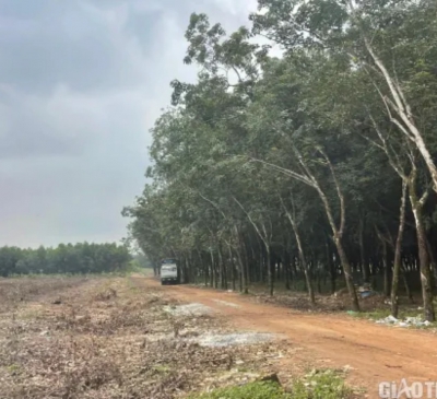 Công tác giải phóng mặt bằng các dự án cao tốc qua Đồng Nai hiện ra sao?