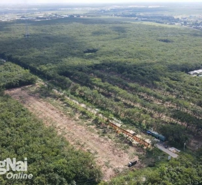 Thu hồi gần 27ha đất cao su để xây khu tái định cư đường cao tốc Biên Hòa - Vũng Tàu